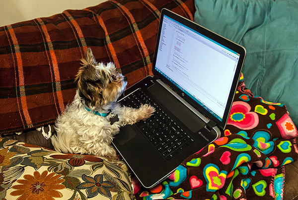 News article illustration