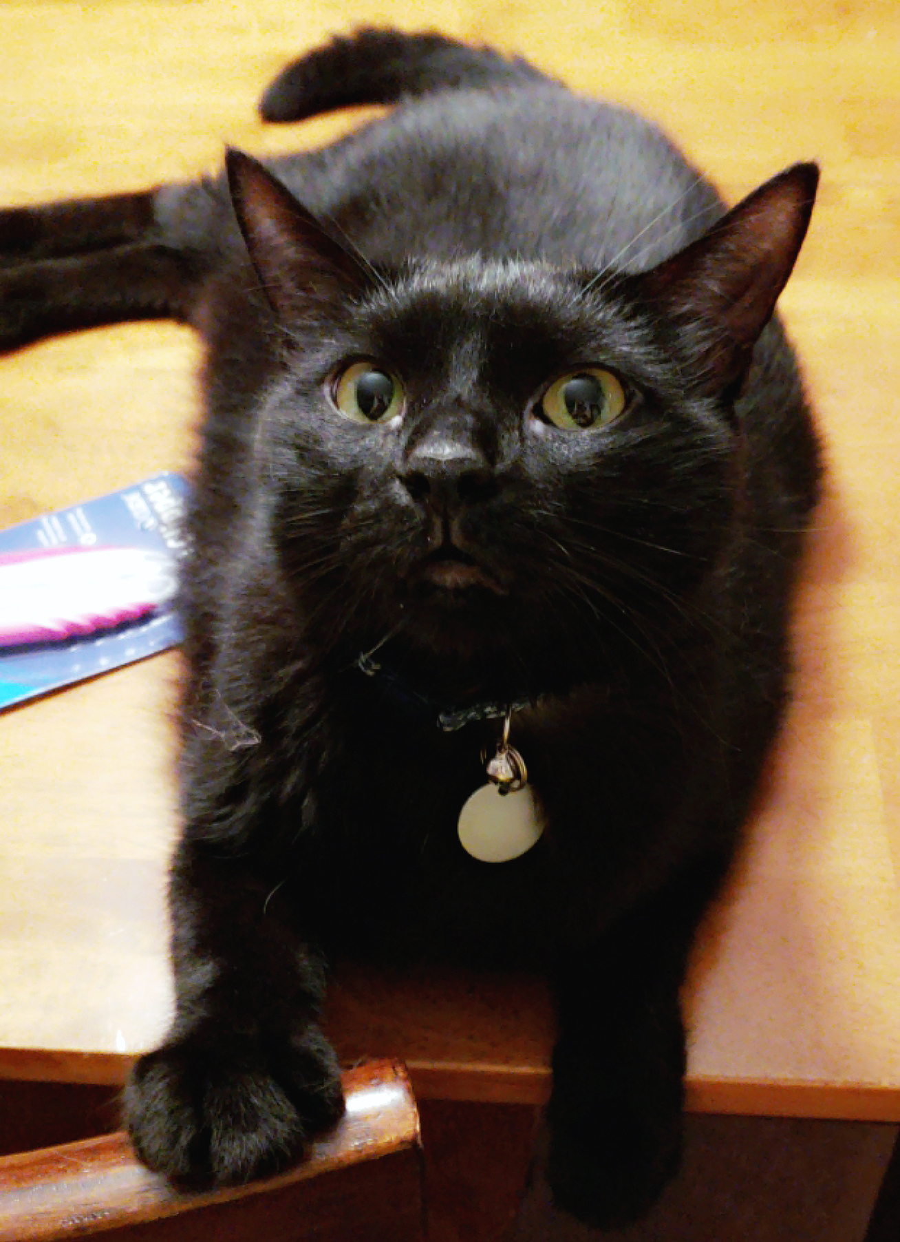 News article illustration